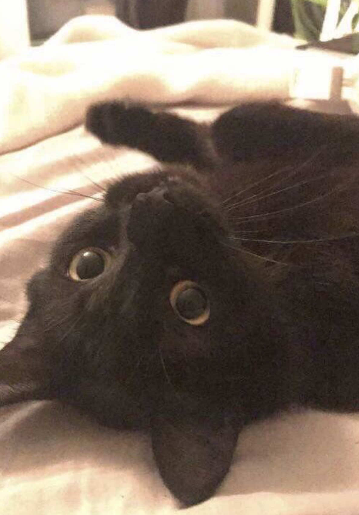 @ℛℯ𝓎ᶻ 𝗓 𐰁