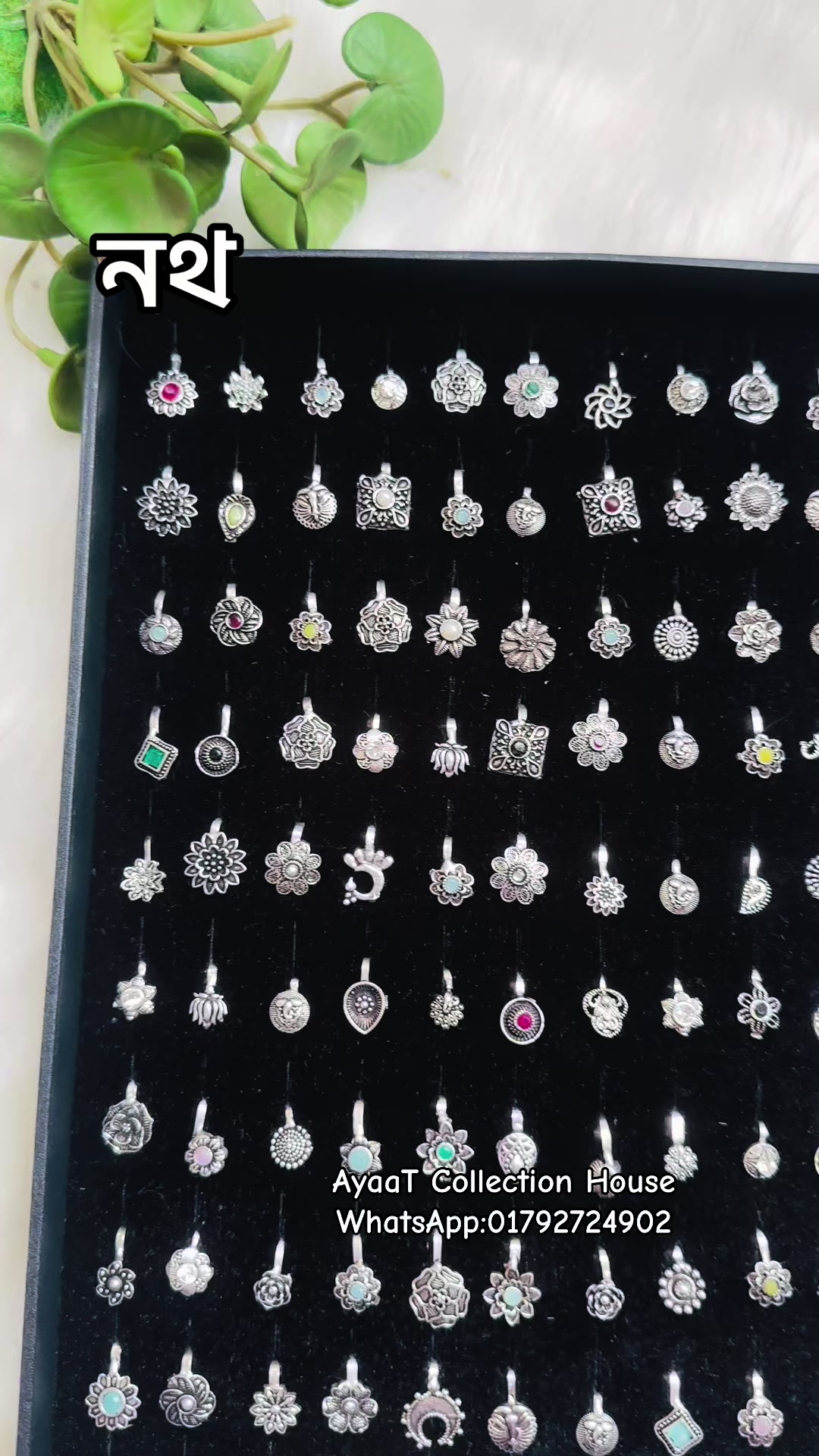 @AyaaT Collection House