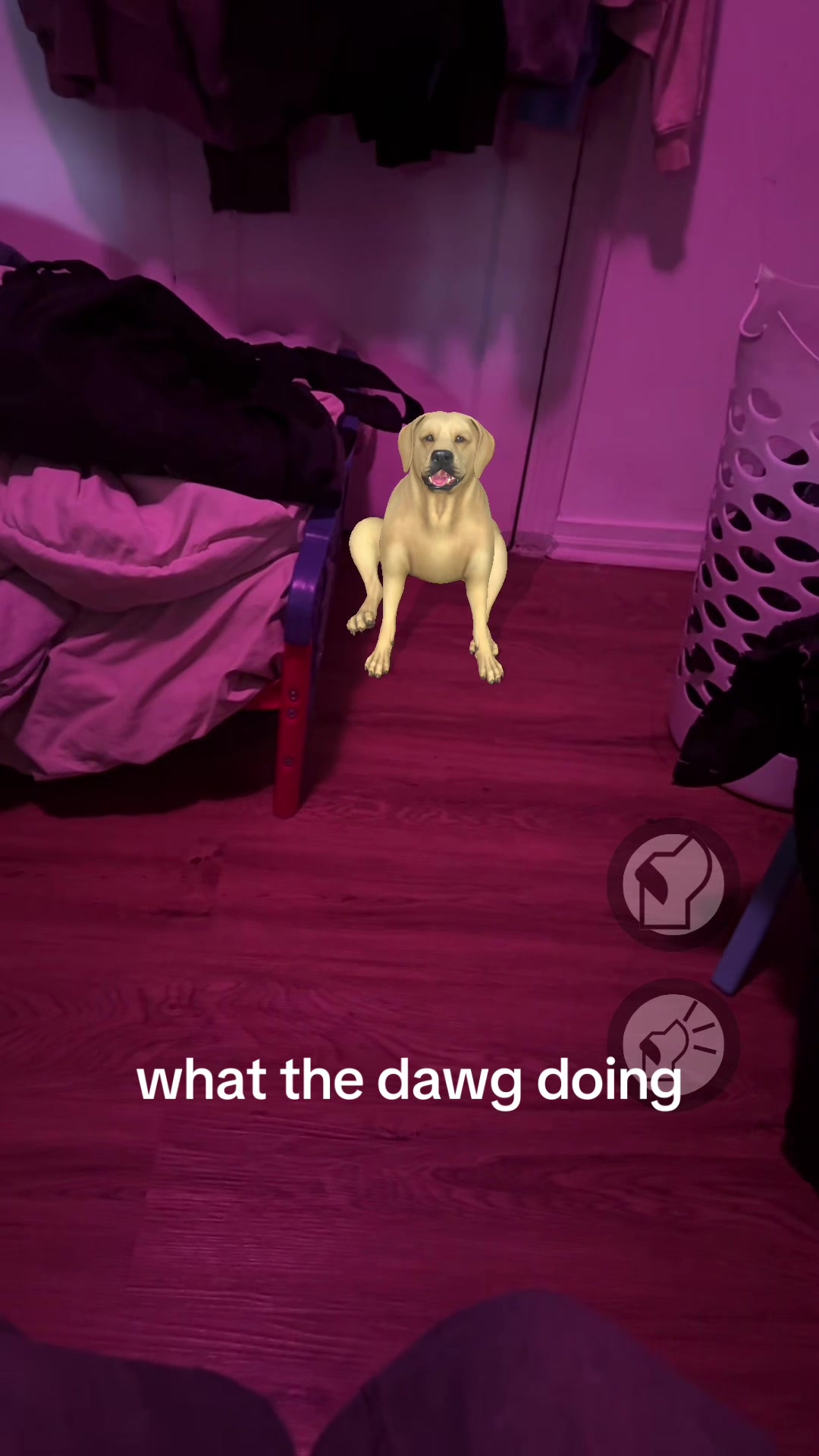 @𝔙𝔄𝔐𝔓𝔖 ♱