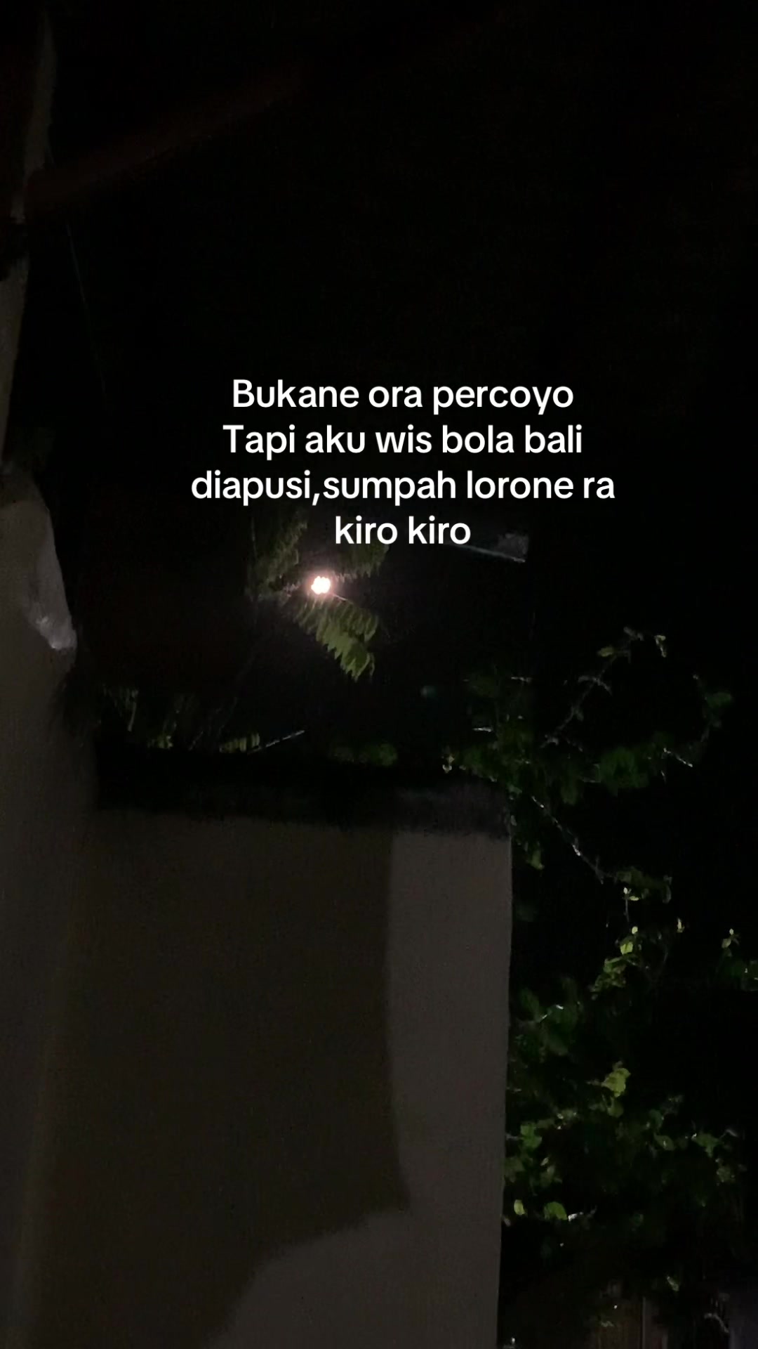 @Kadal Buluk 🦎