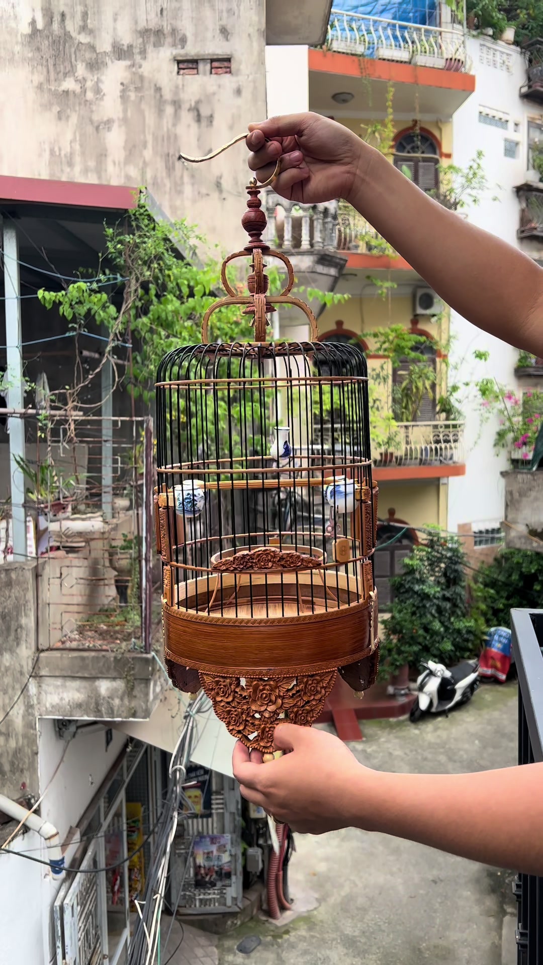 @Lồng Chim Đẹp