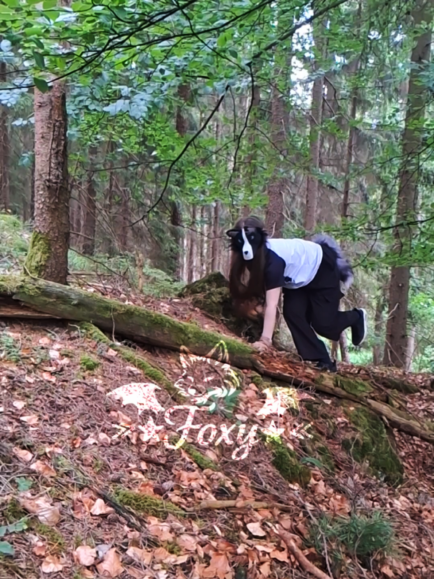 @&raquo;★Foxy★&laquo;