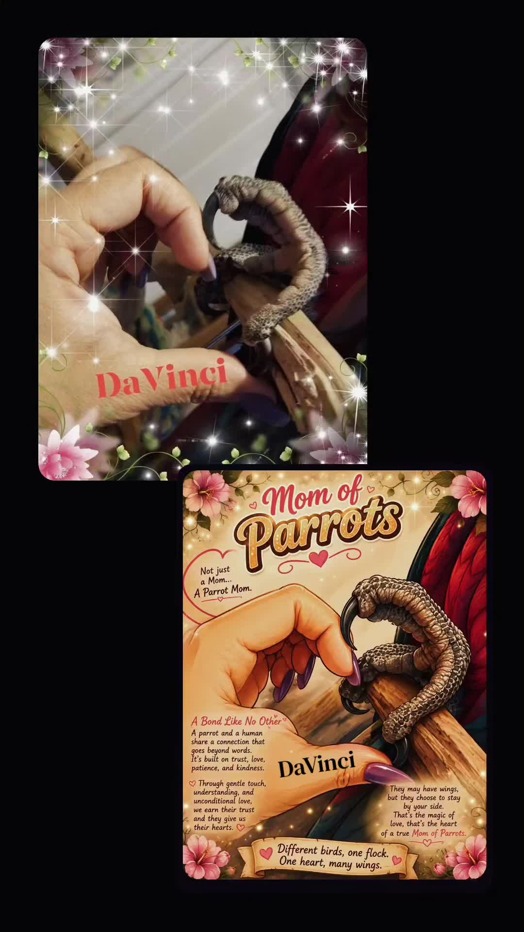@🦋🇵🇷Mom of Parrots🇵🇷🦋
