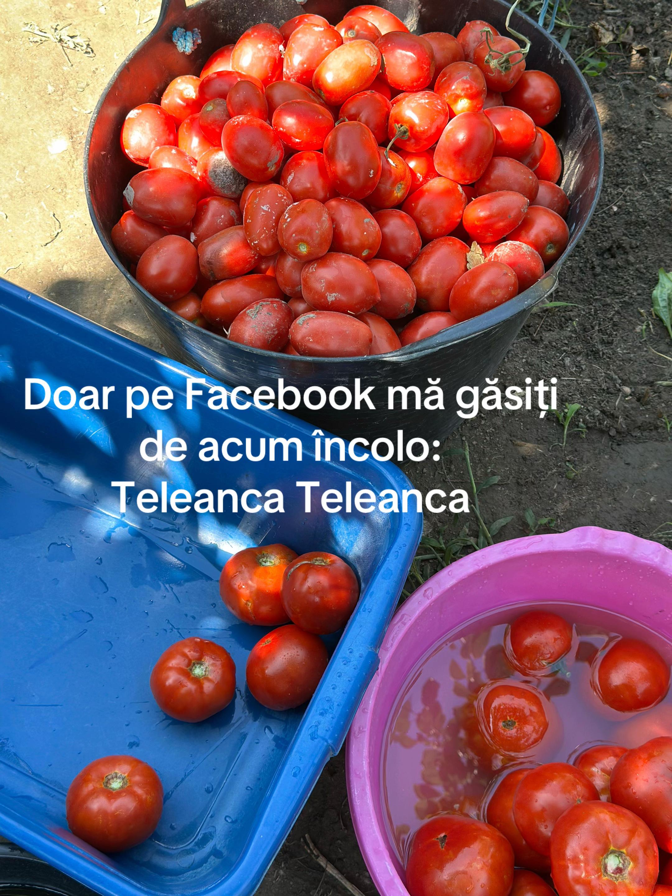 @TELEANCA