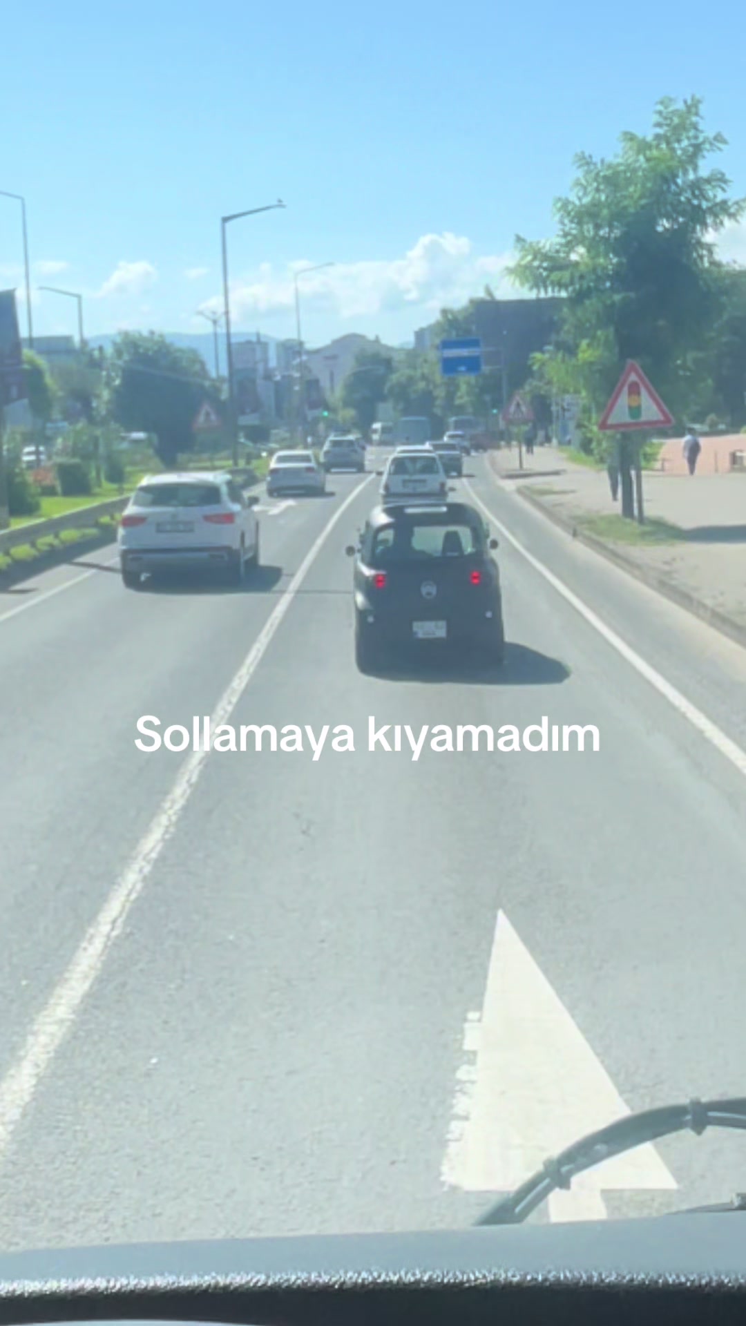 @İsa şahiner🪴