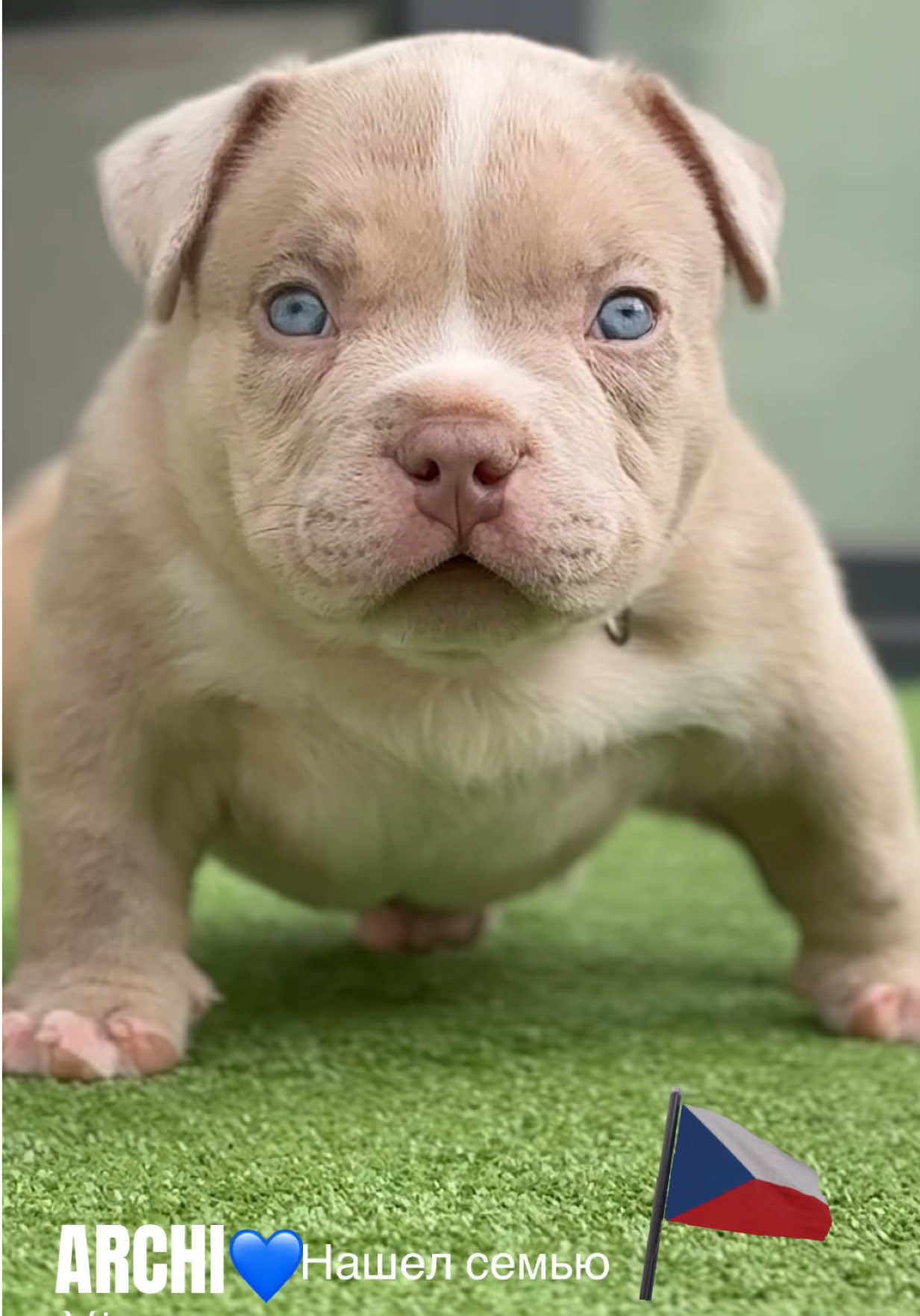 @TWO_BULLY