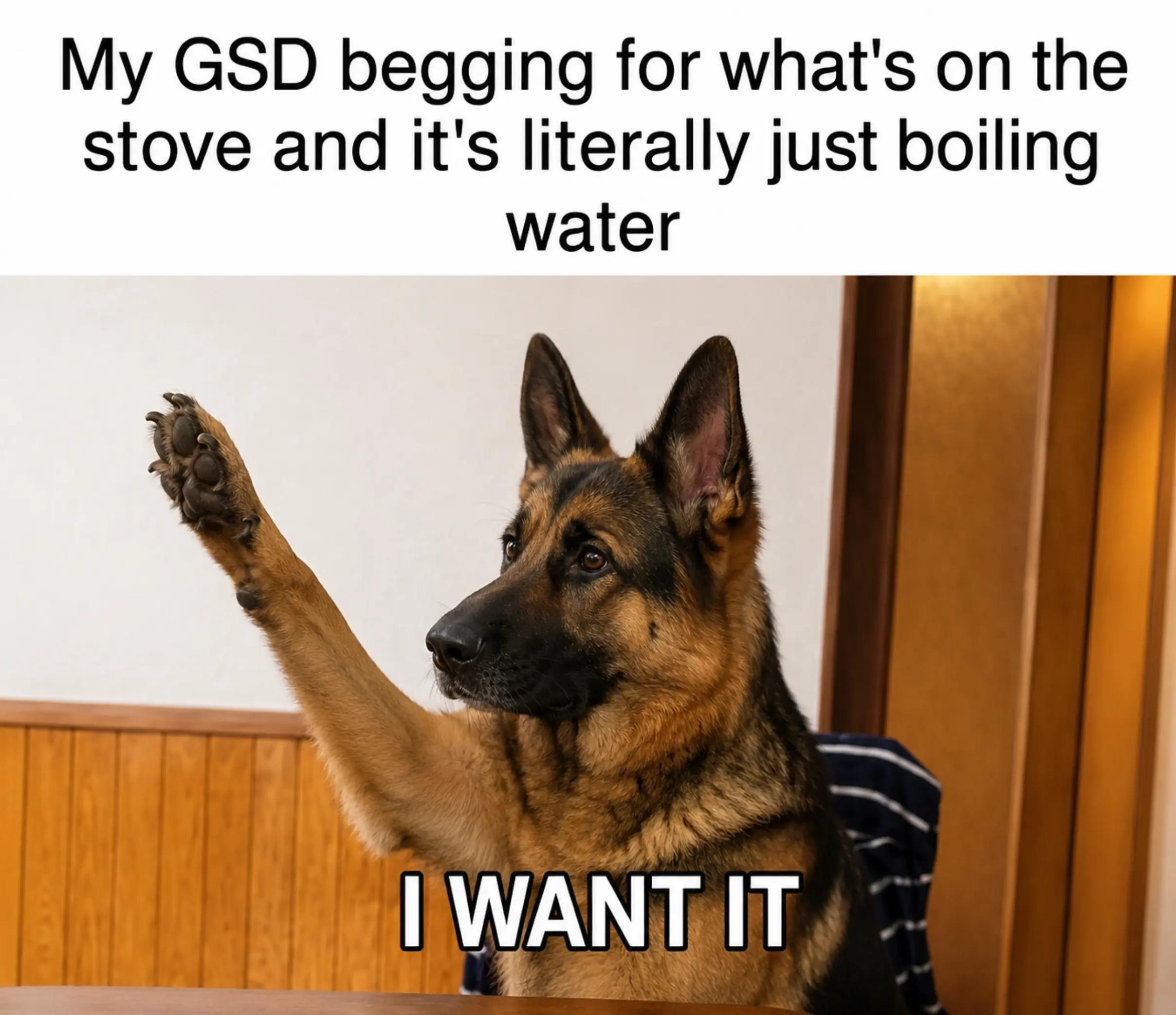 @GSD.PRIDE