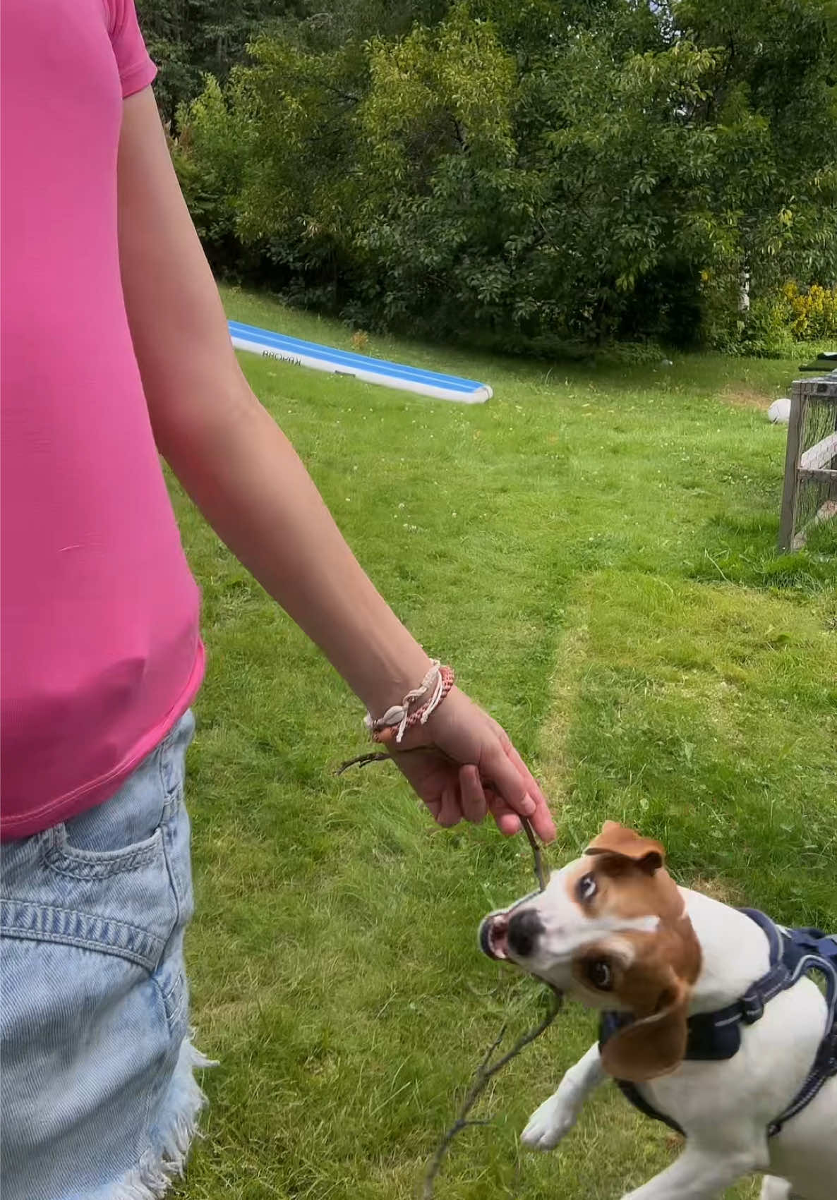 @ℒ𝒾𝓁𝓁𝓎 ᵇᵉ🤍