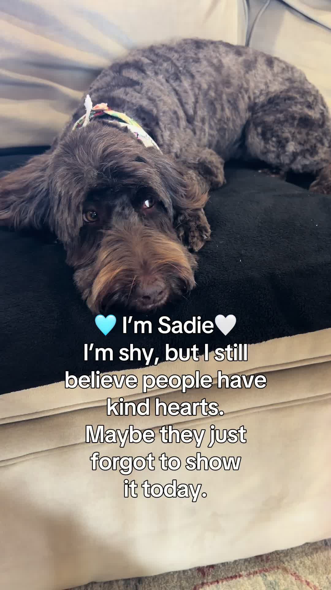 @Sadie the Doodle