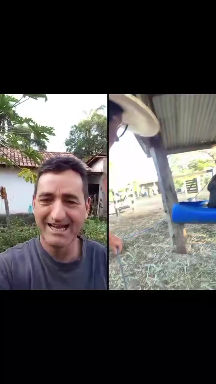 @🦜Edmilson da Serra🦜