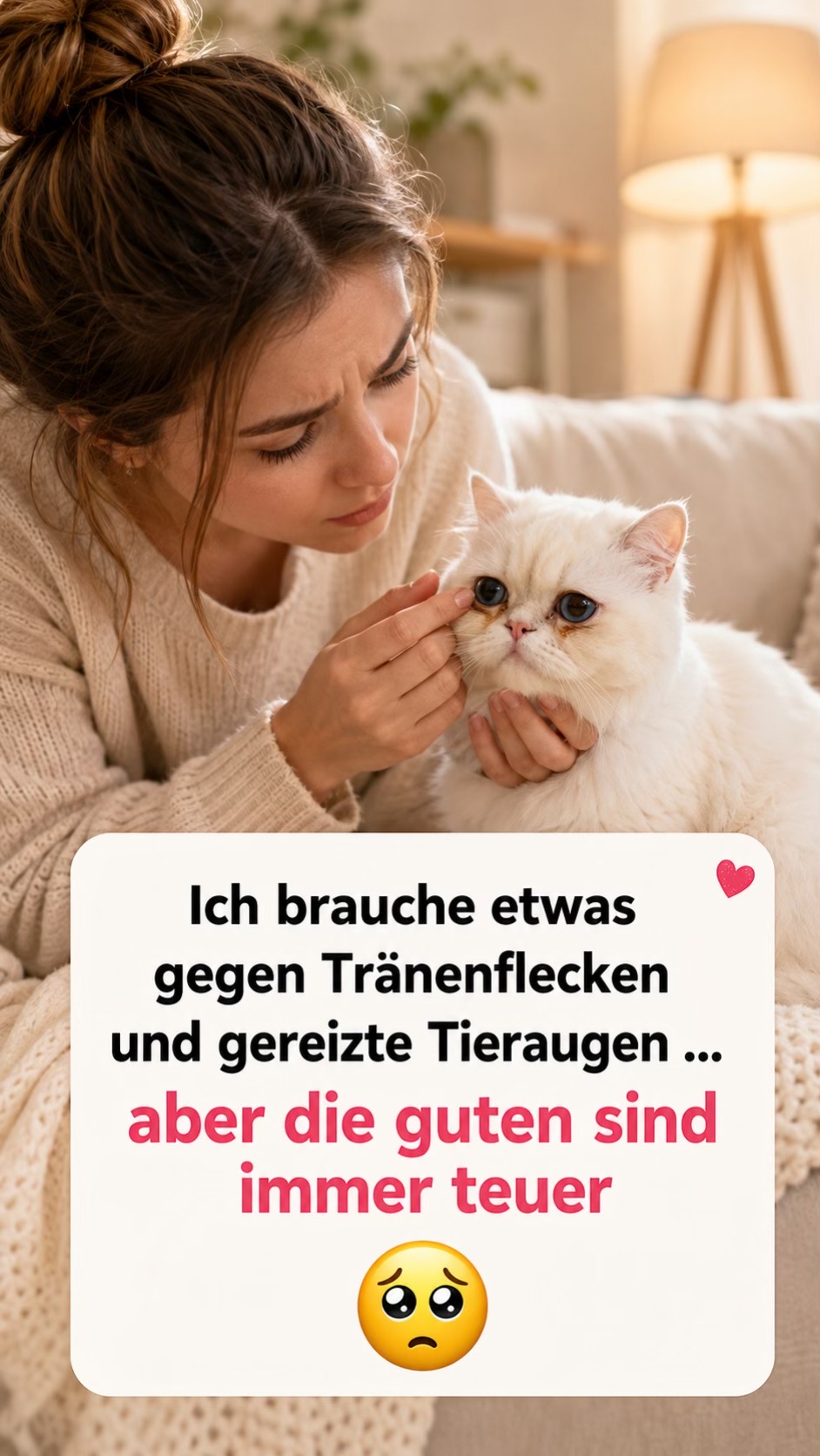 @beimia8
