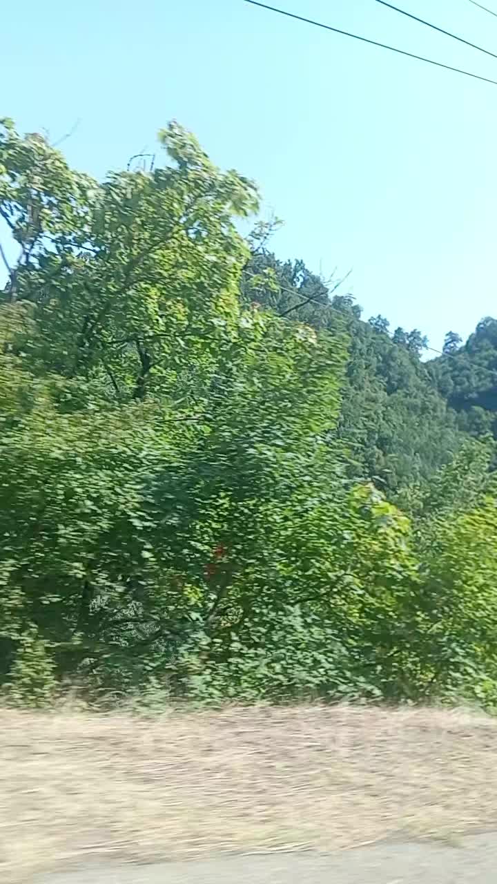 @Traktor_Aləmi