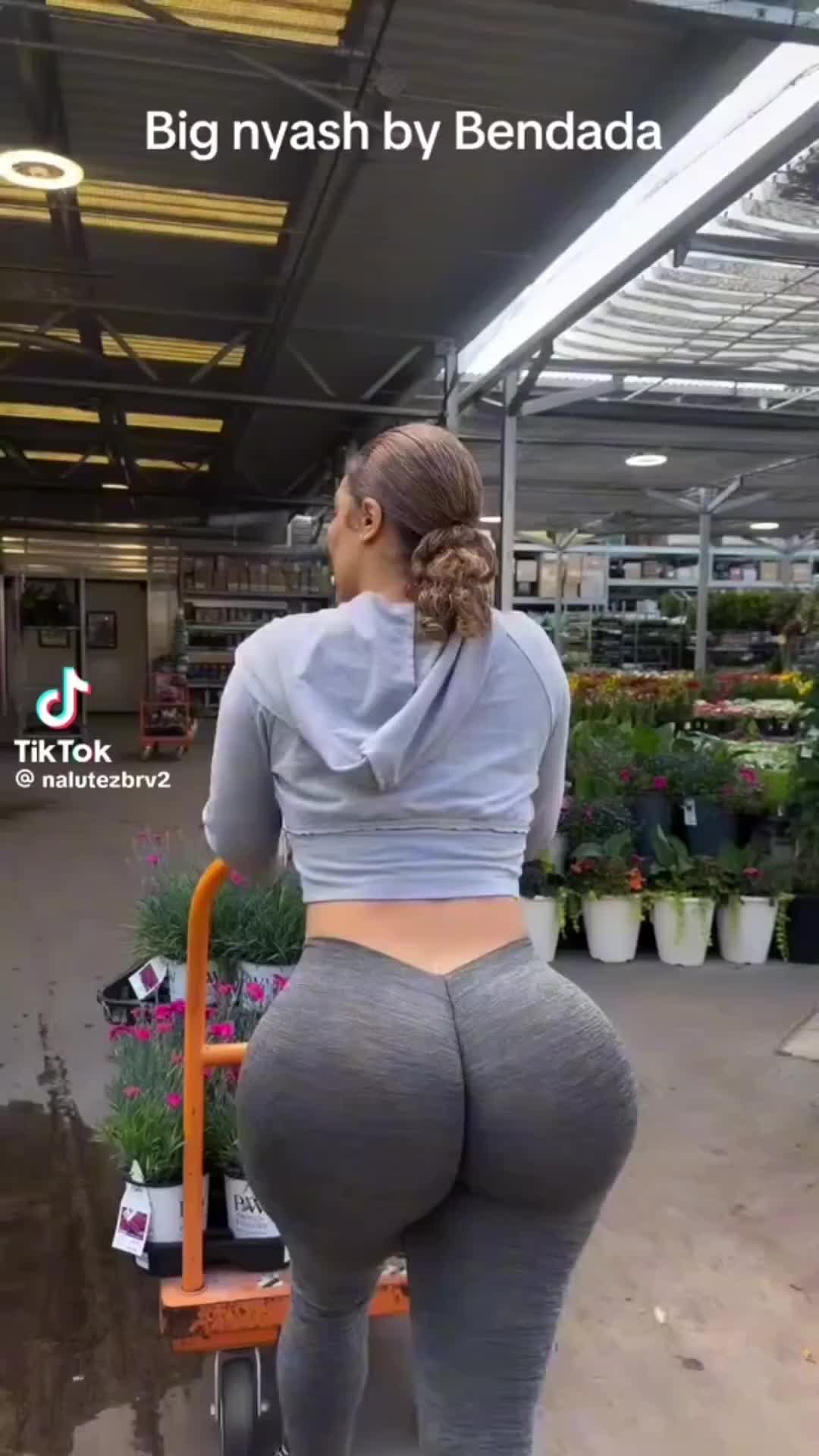 @Model.Perfection