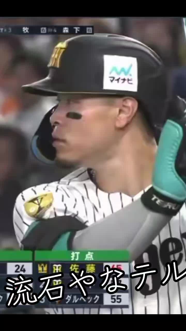 @🍑🐯トライダー🐯🍑