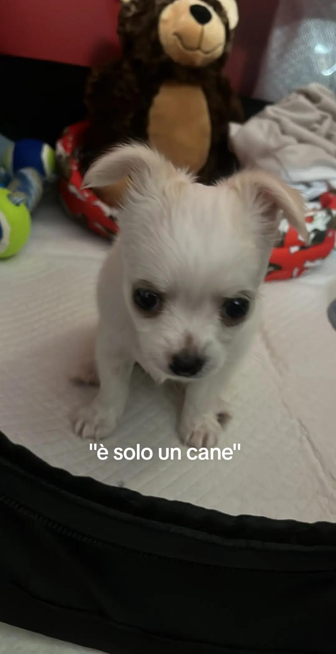 @sofiaaa
