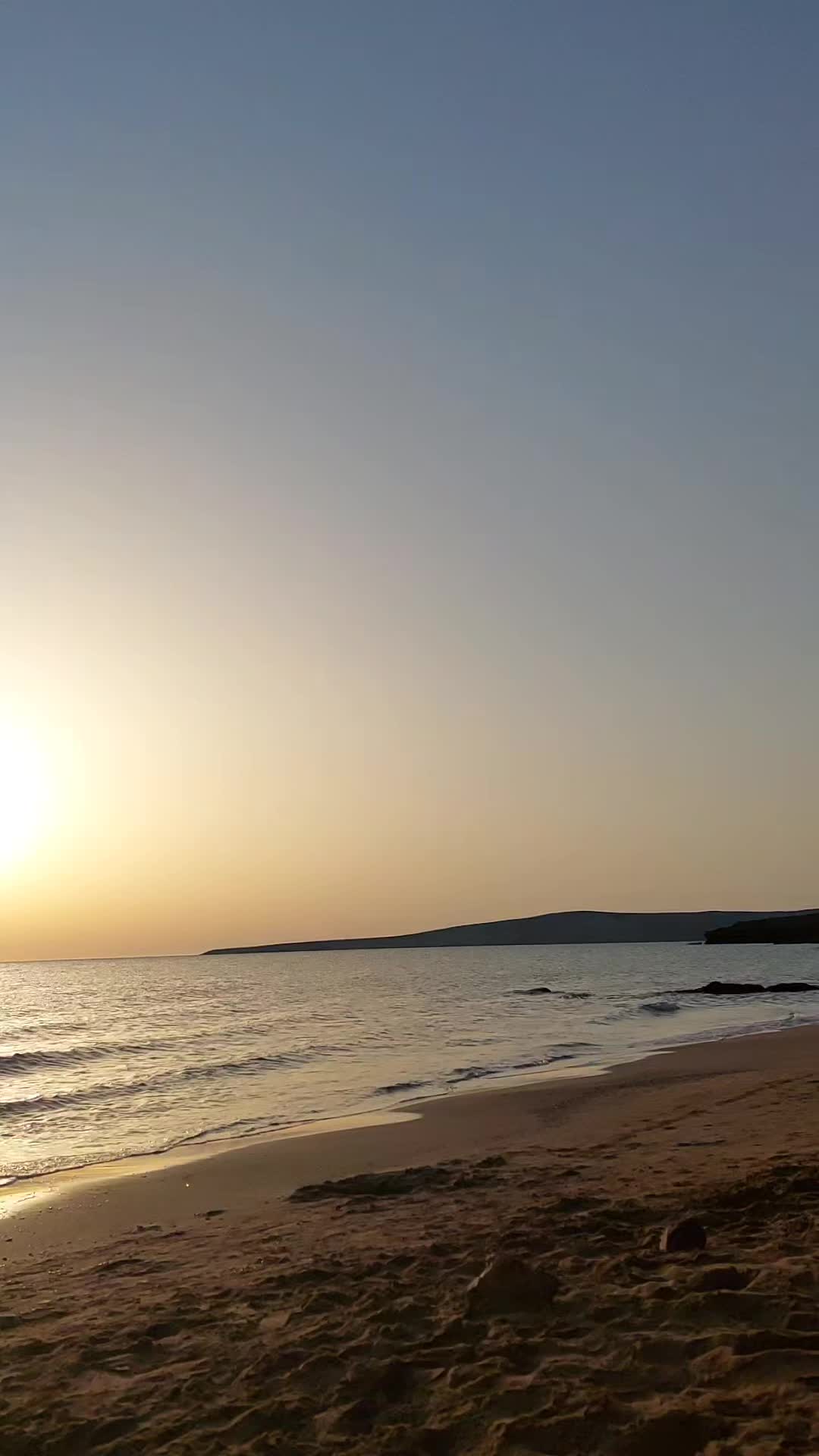 @Artemis_nature