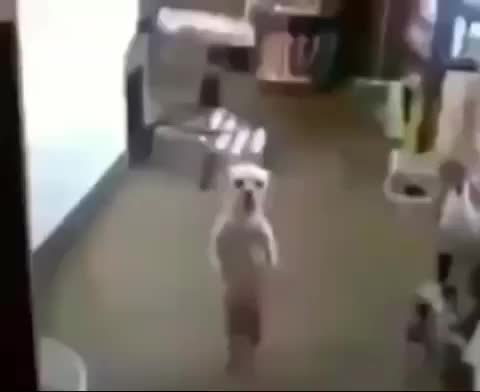 @littlewilly83