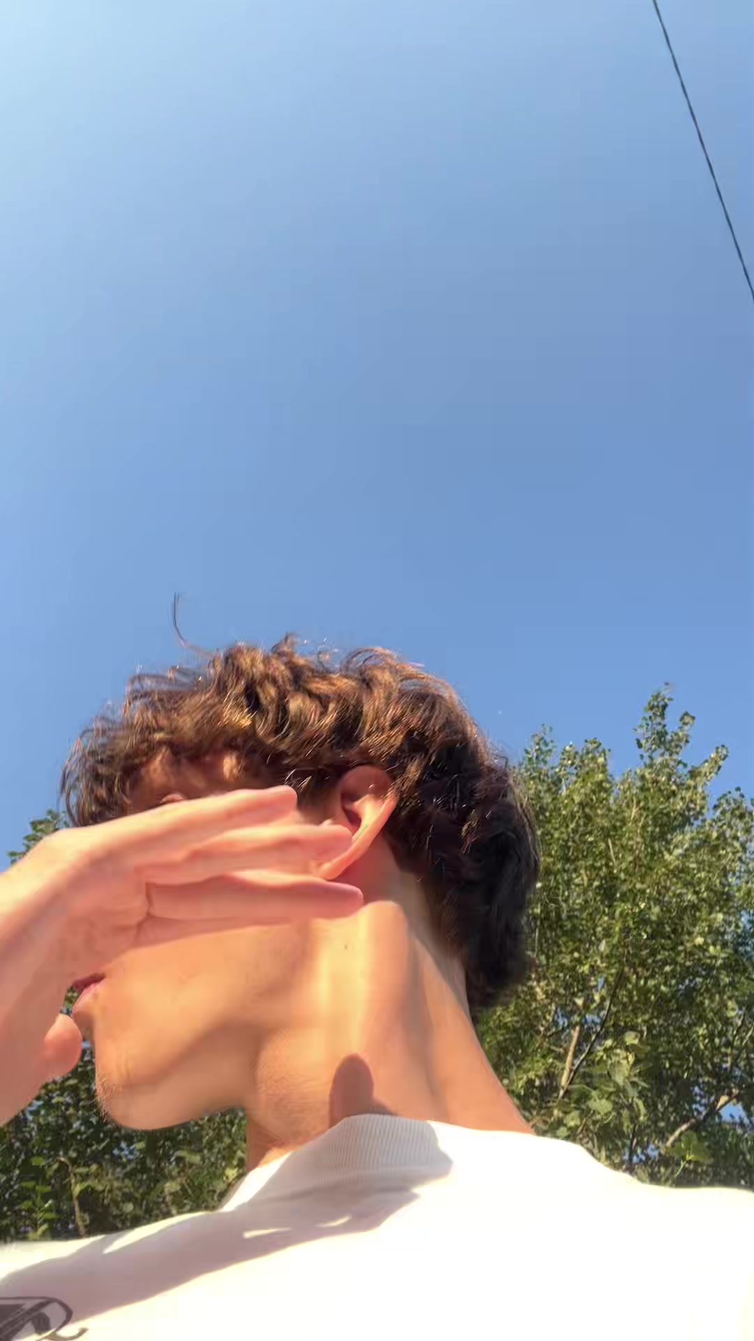 @dmitrievv
