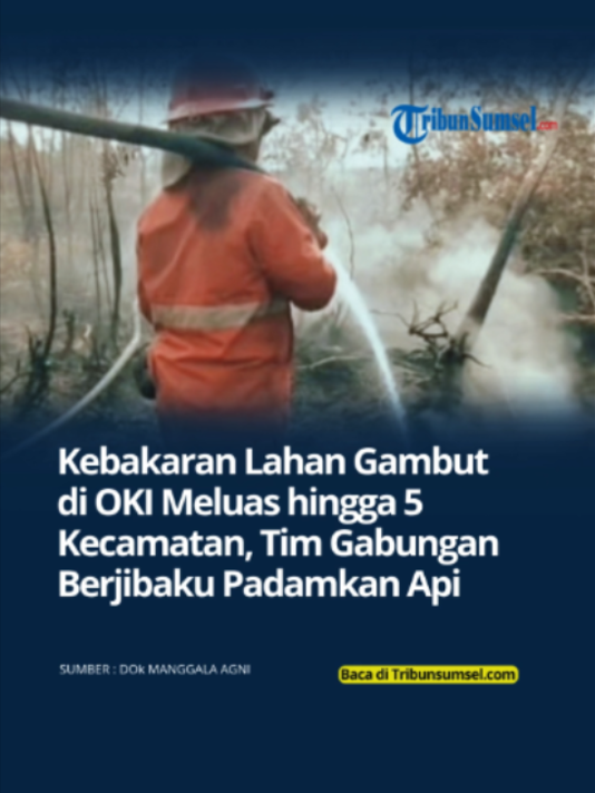 @Tribun Sumsel
