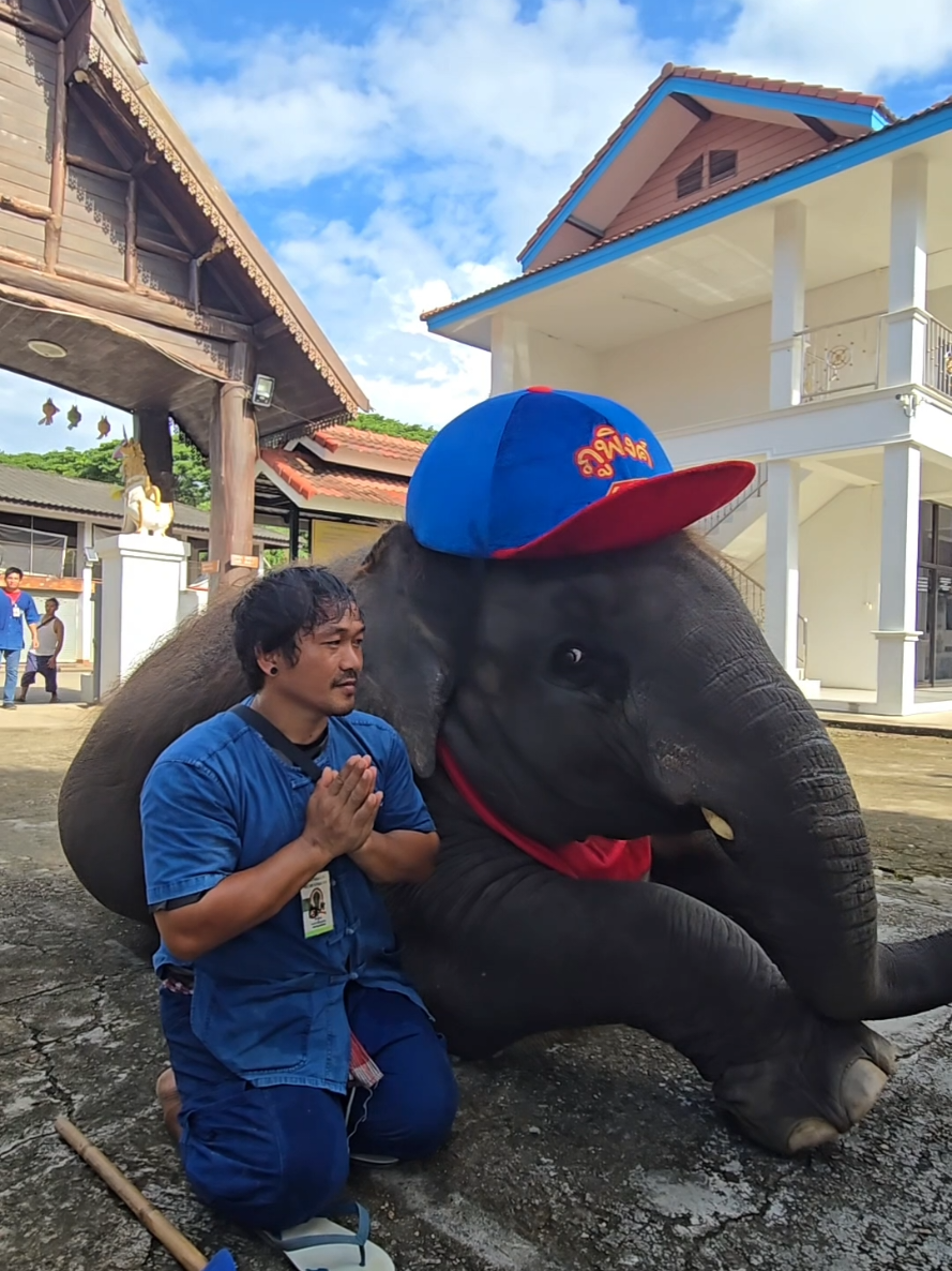 @ควาญแดง พลายภูพิงค์