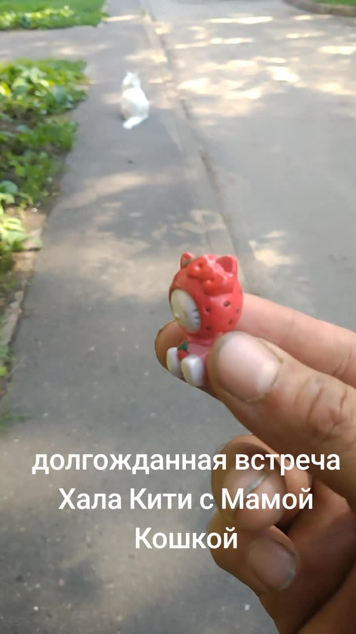 @Ыбан Ачагов