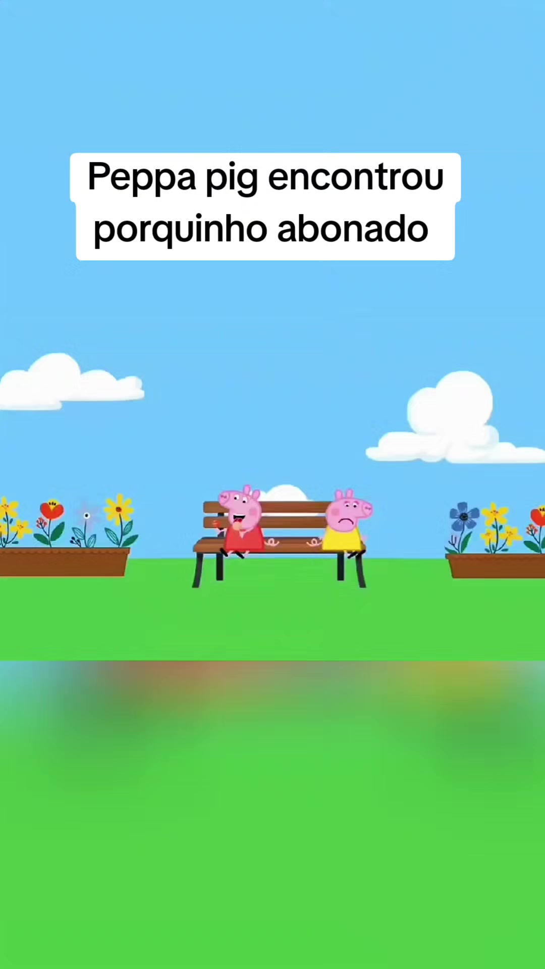 @animes222