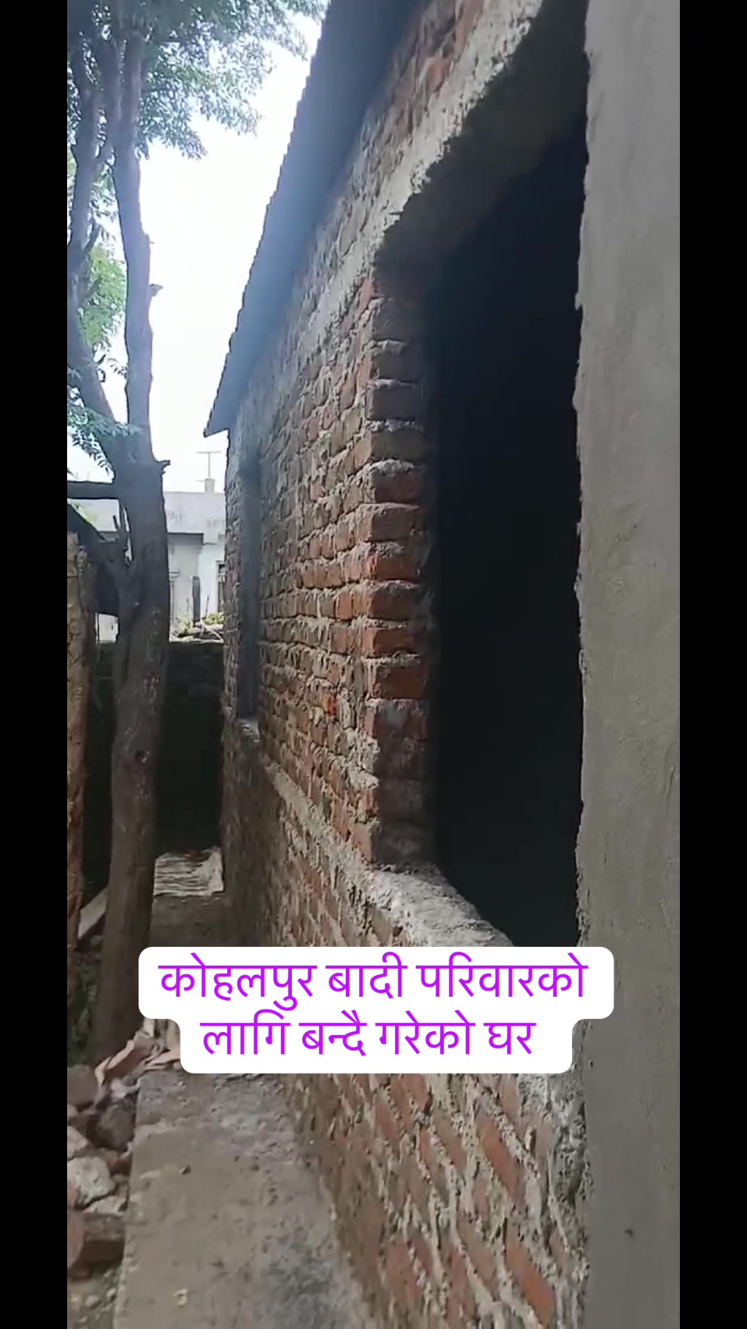 @Tulsi Shrestha