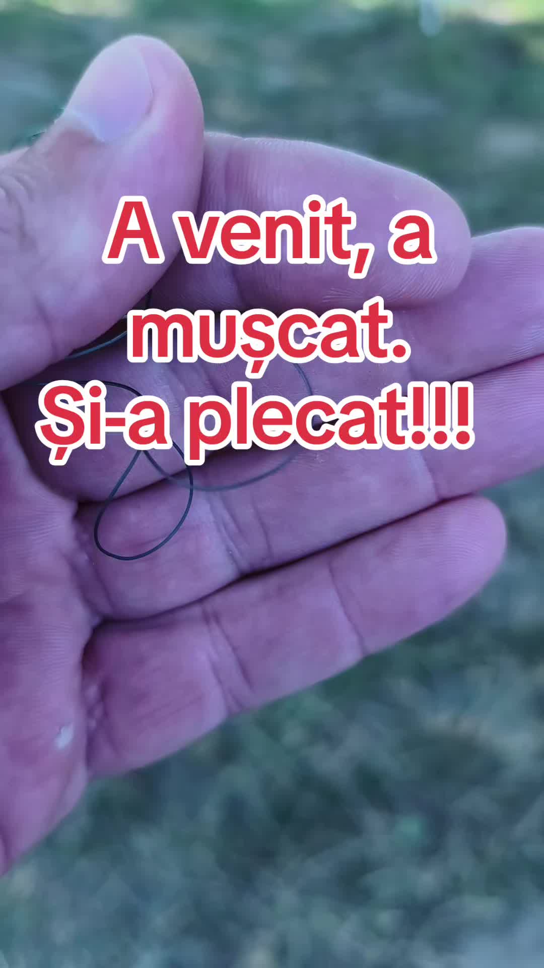@Văru Nik