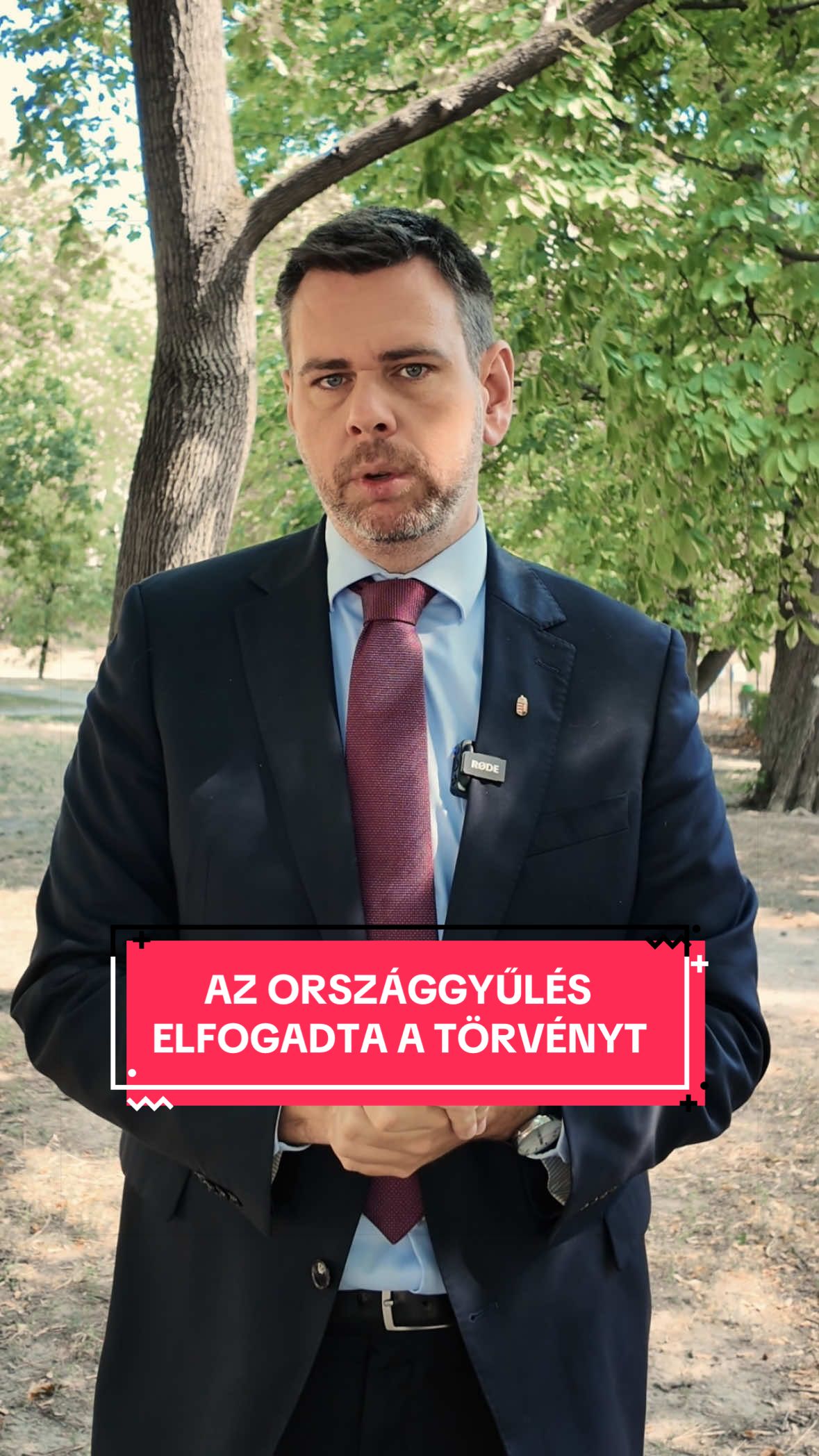 @Vit&eacute;zy D&aacute;vid