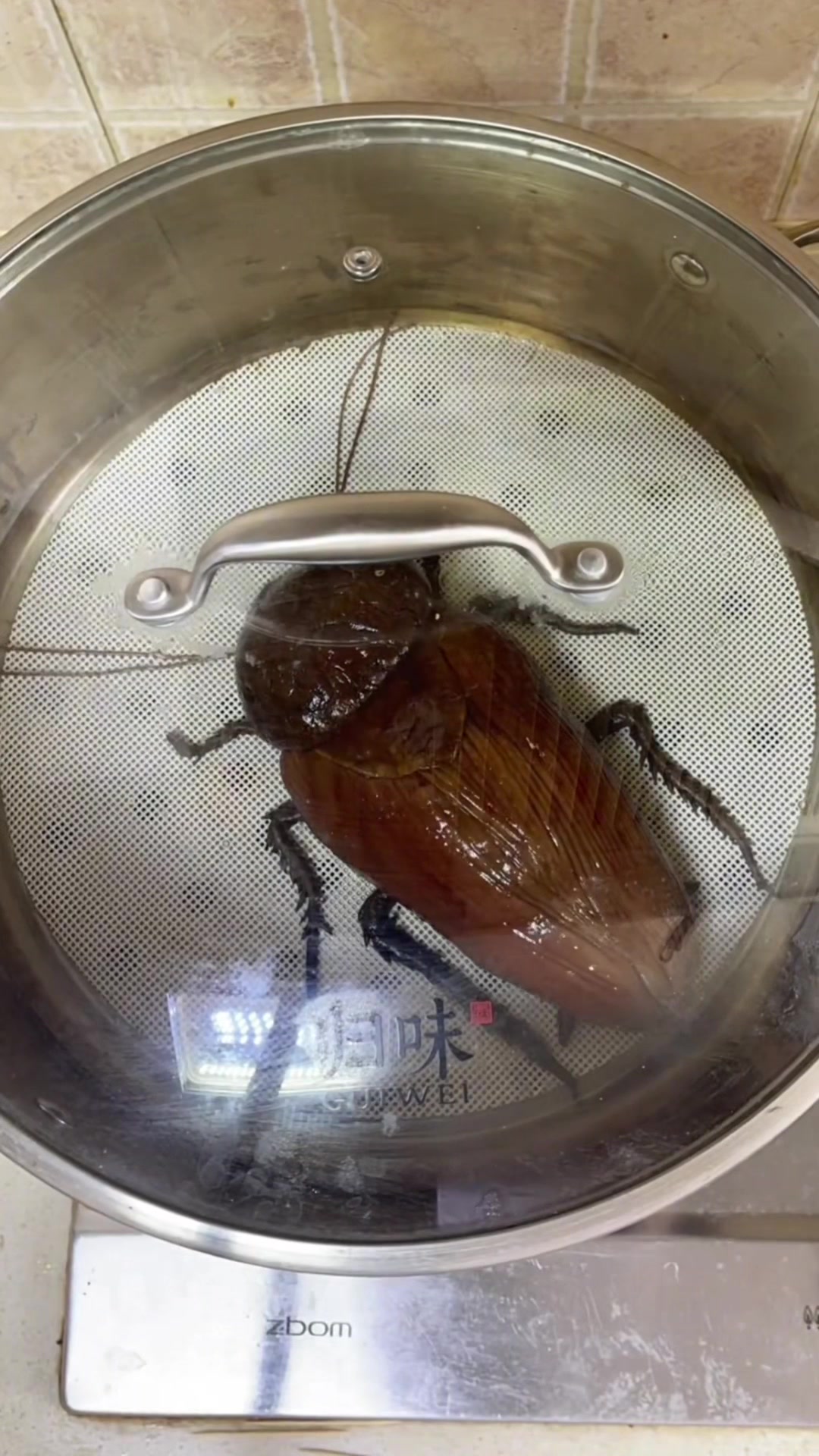 @c&aacute;i mew g&igrave; vậy?