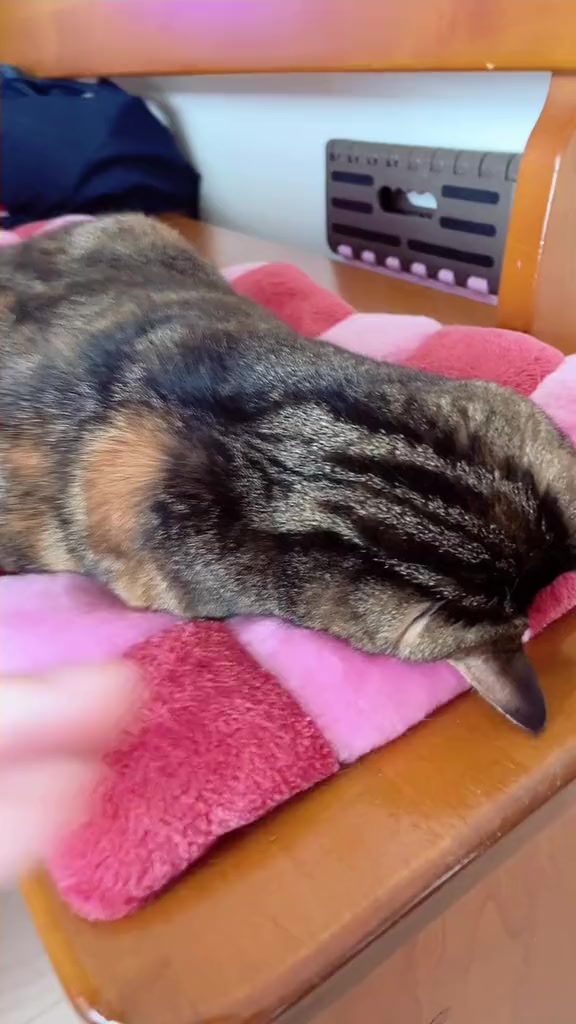 @よーぐると