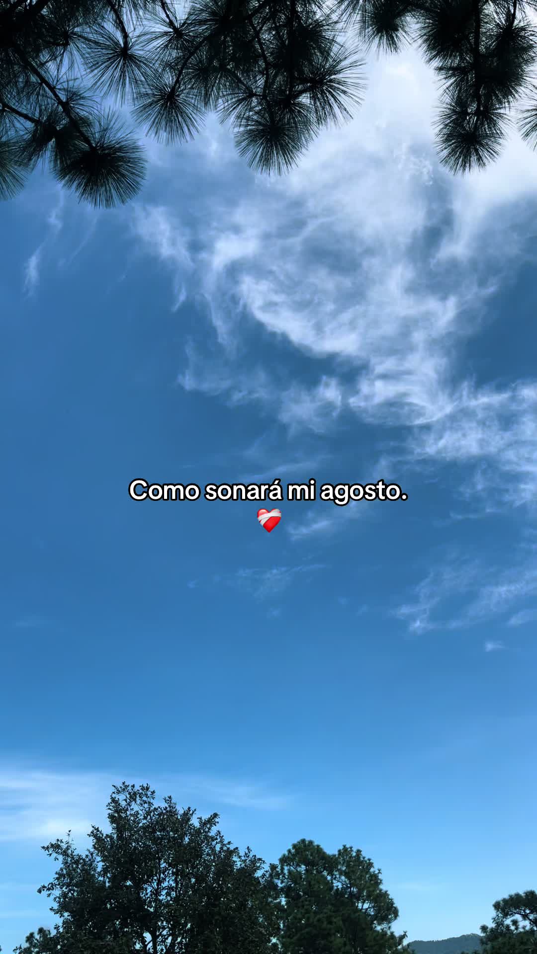 @sadgt18