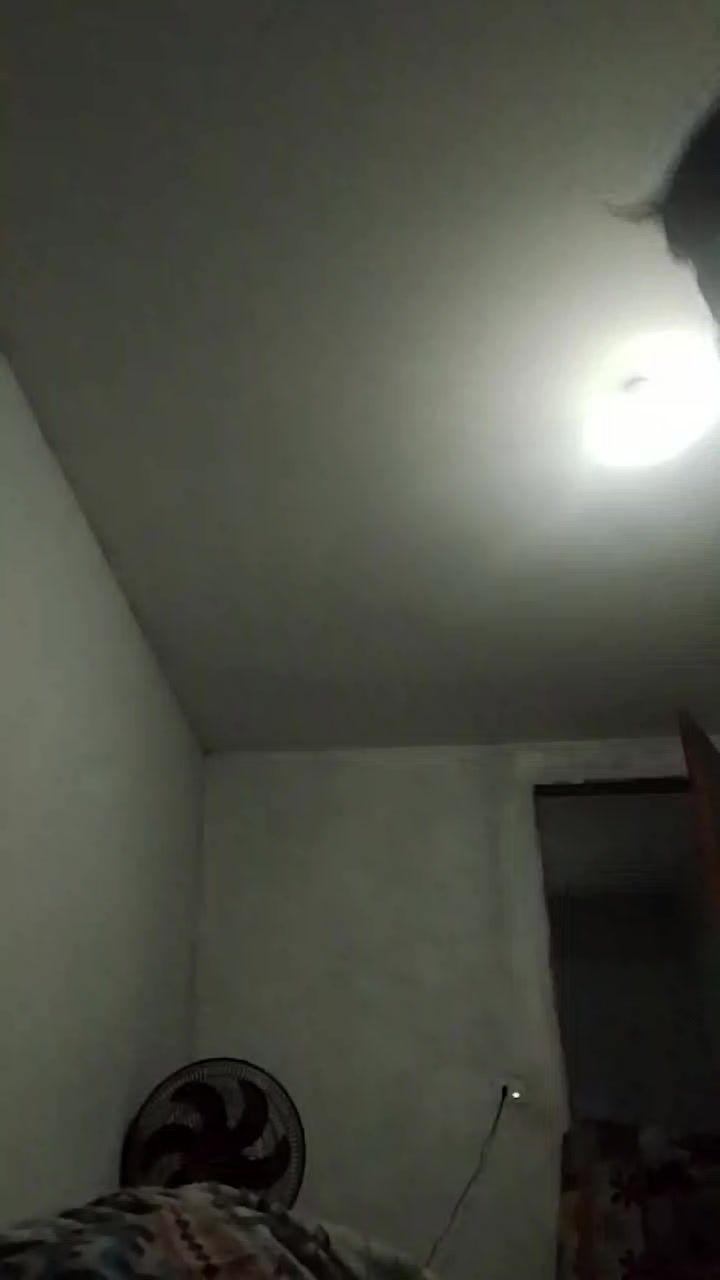 @Micael coelho Souza