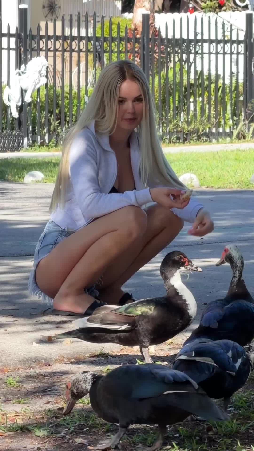 @nimolong