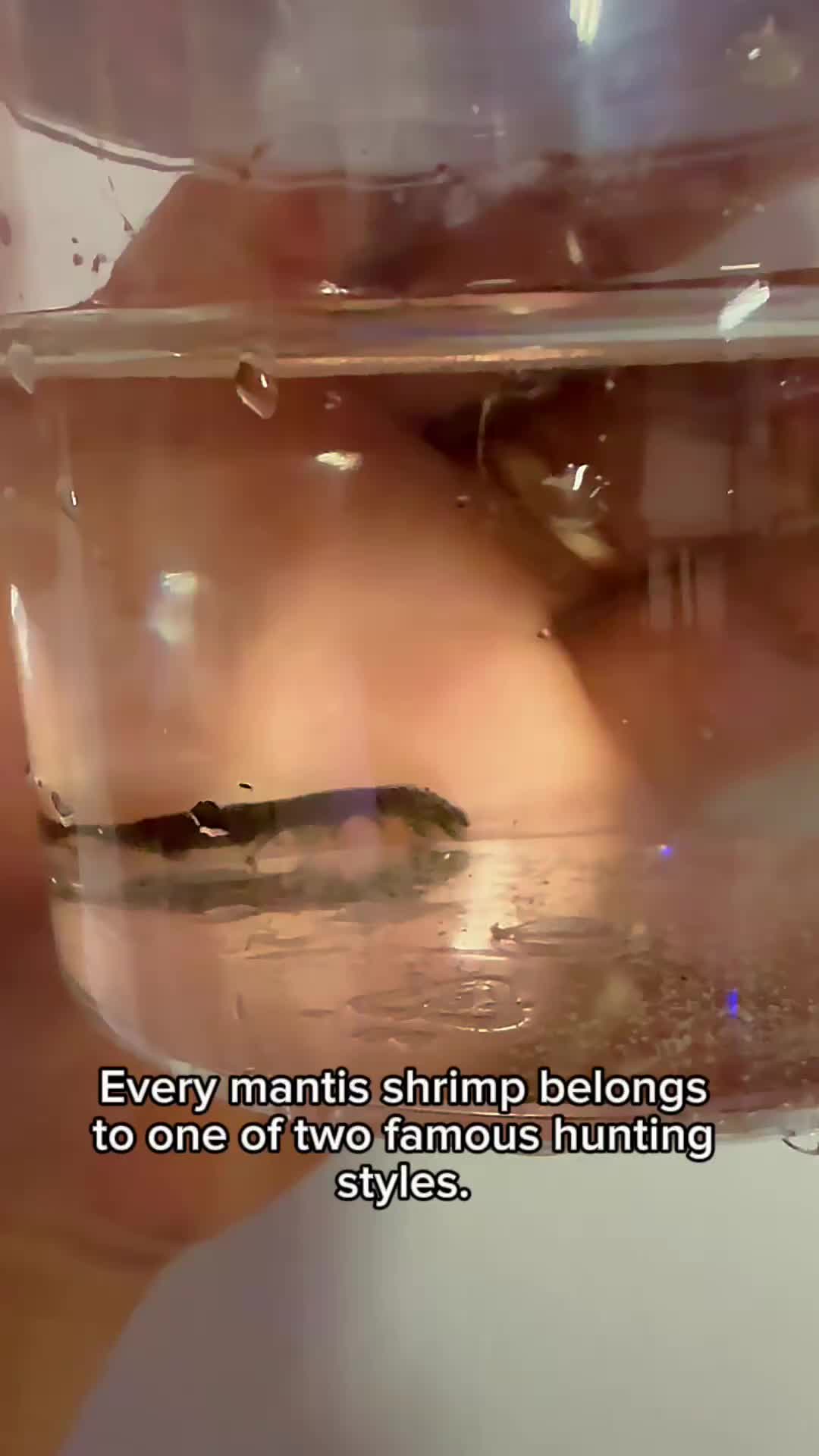 @Reeftogo
