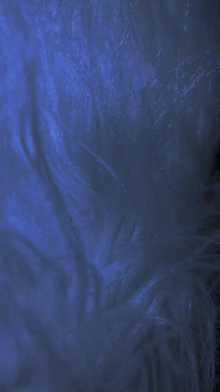 @Gabriella Teixeira