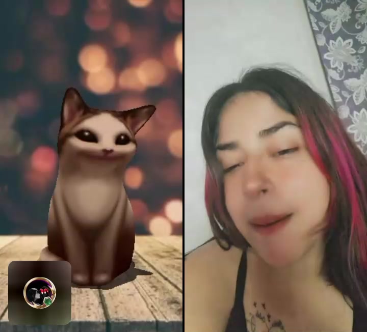 @🐅༒🅹🅷🅾🅽🎵