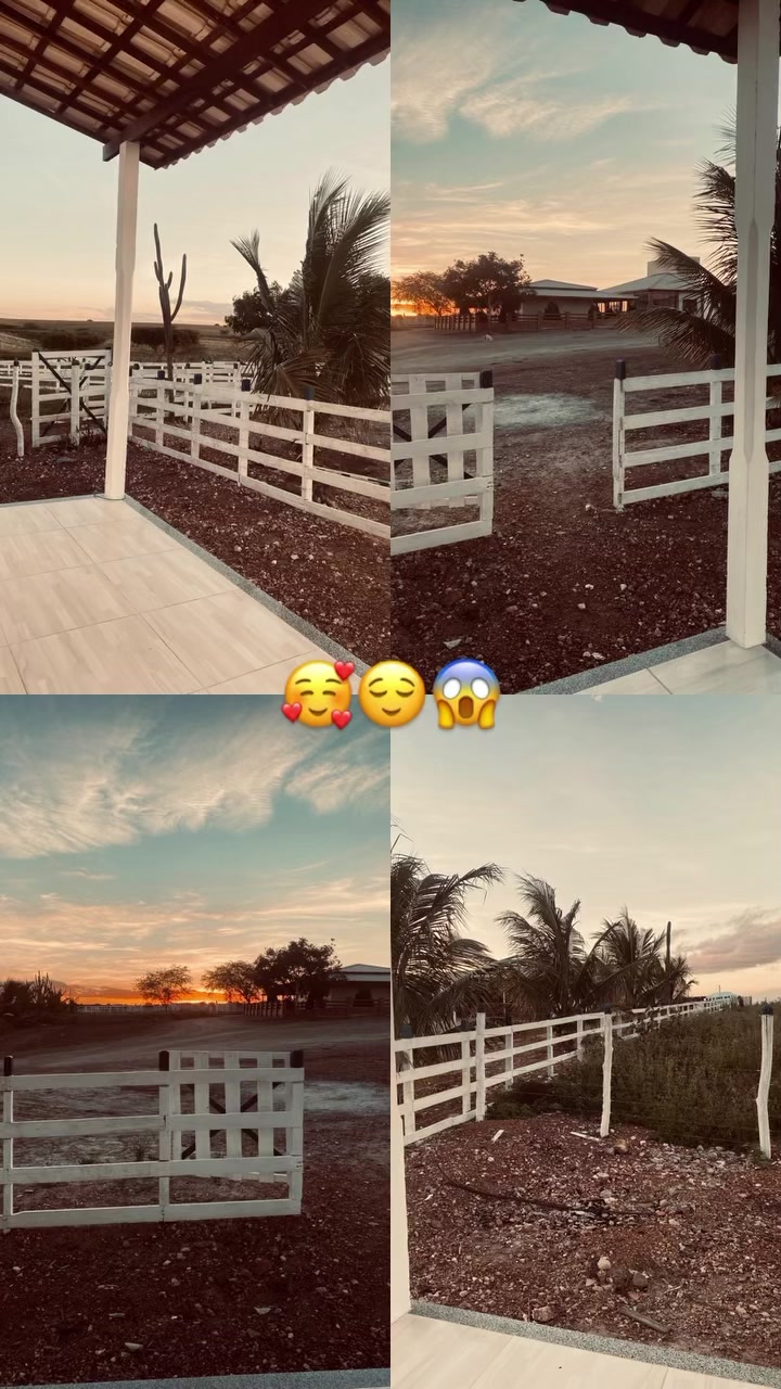 @joycemotaa0