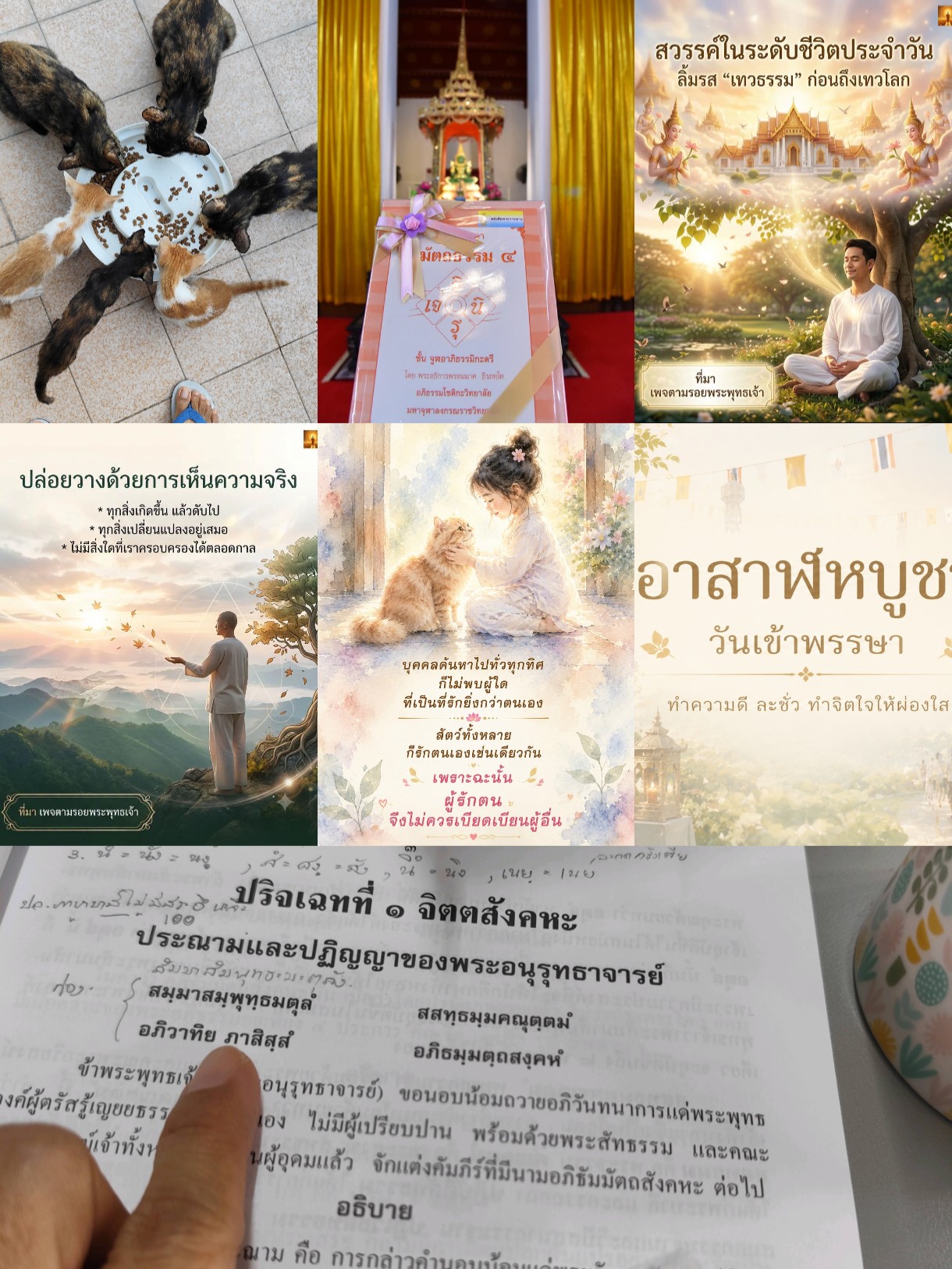@พี่ซาร่าชุดขาวกับแมวเหมียว