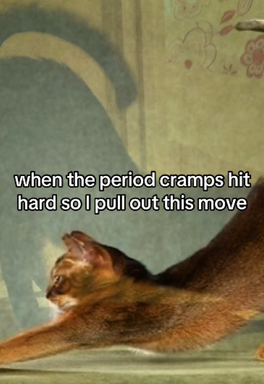 @eli