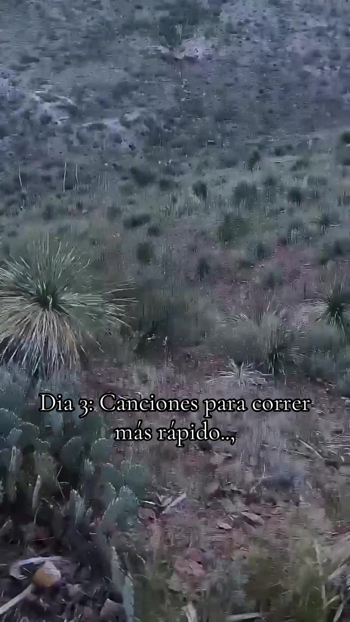 @Jimbo🔥🦍