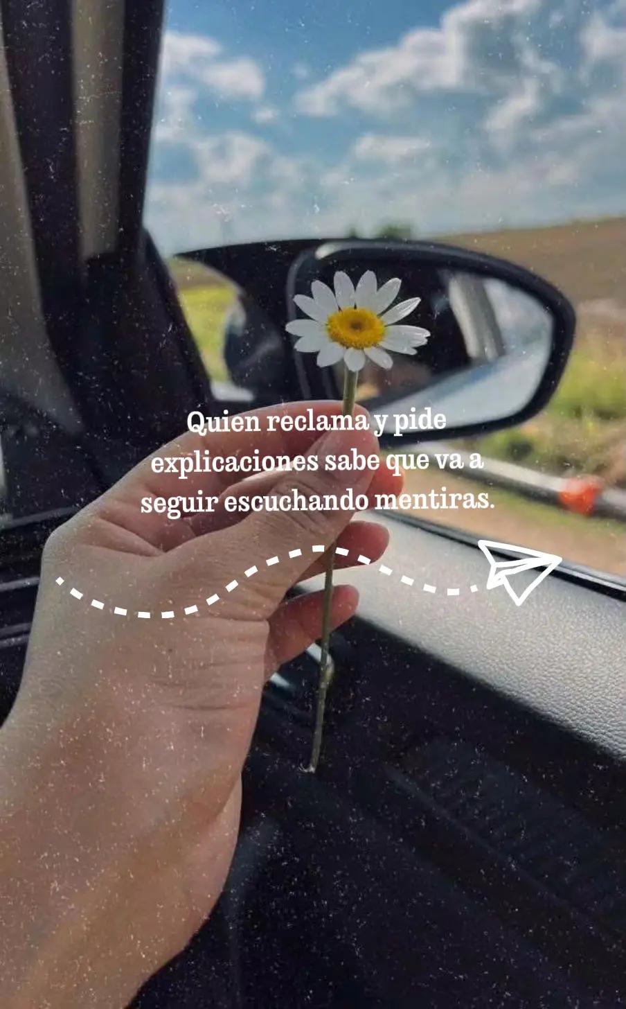 @Diana Fiorella BV