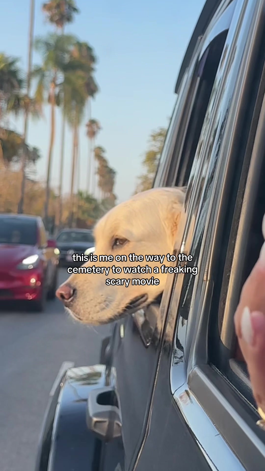 @Chilaquil