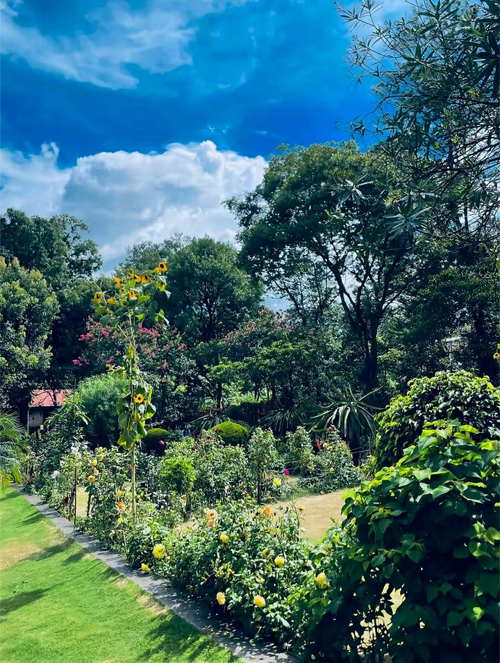 @R&iuml;YA🧿🇳🇵🇧🇷