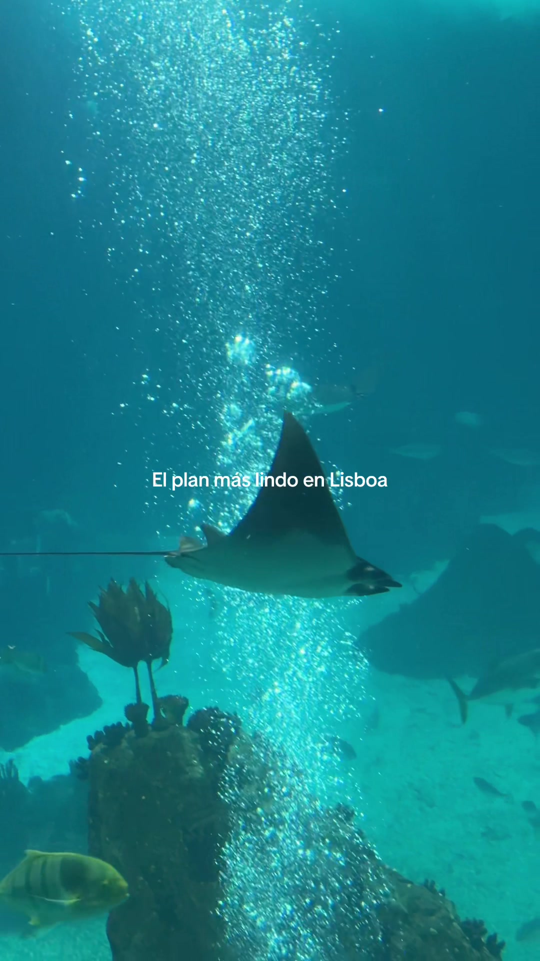 @Cata <3