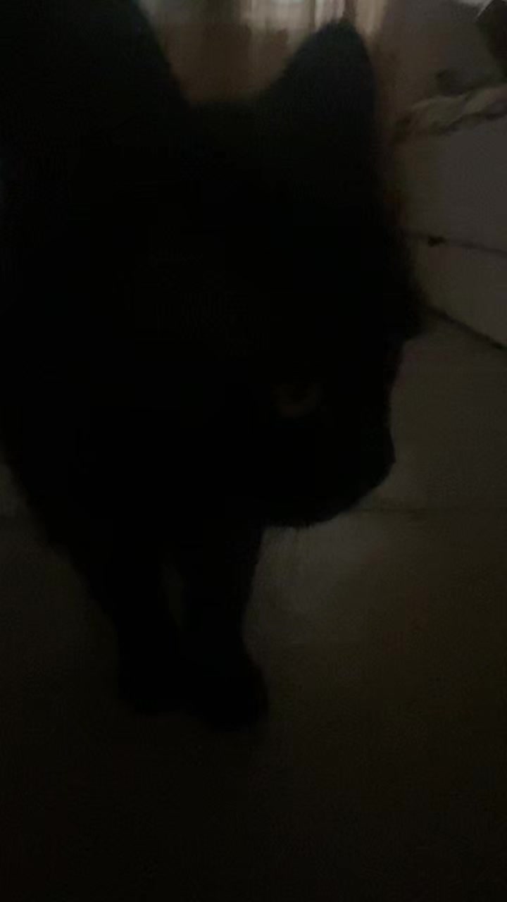@лол&dagger;гайка
