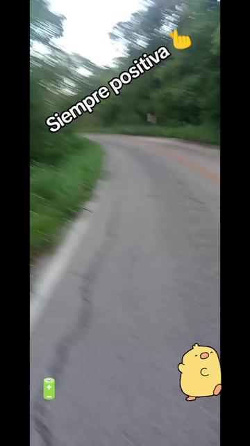 @damaris. mayorga5