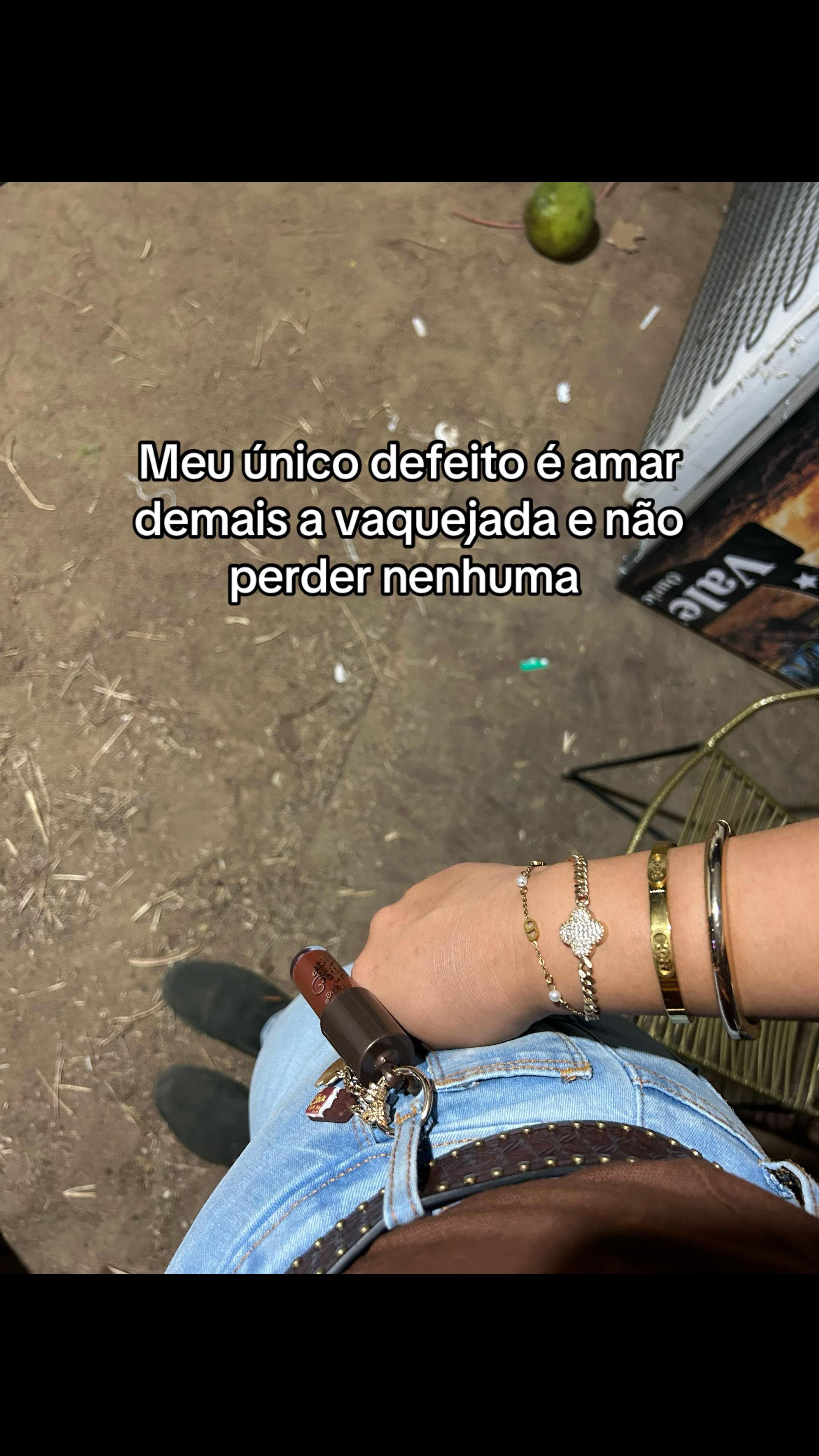 @Vanessa Galdino