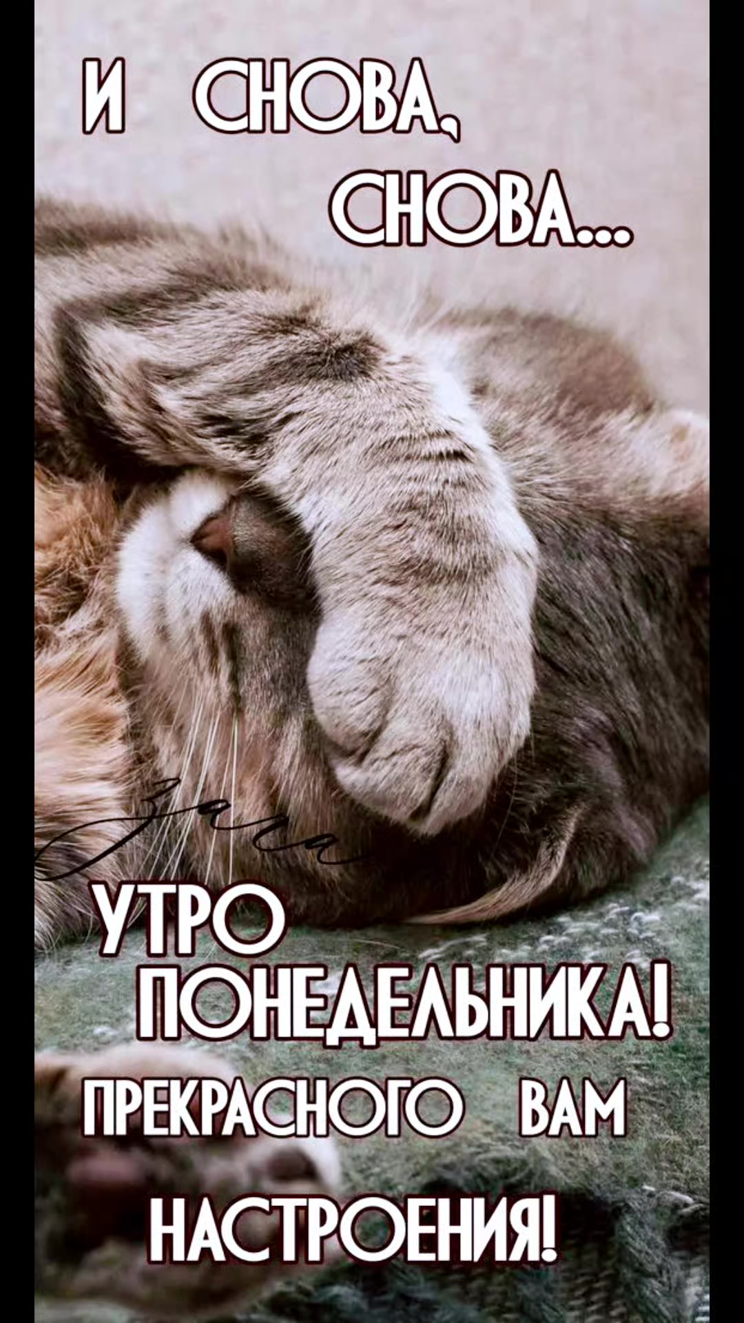 @ooopp