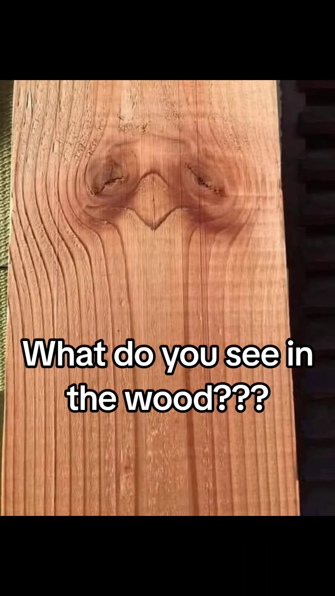 @filmguy13z